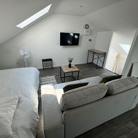 Studio Eucalyptus Charmant Elegant Et Fonctionnel Centre Ville Mulhouse Dış mekan fotoğraf