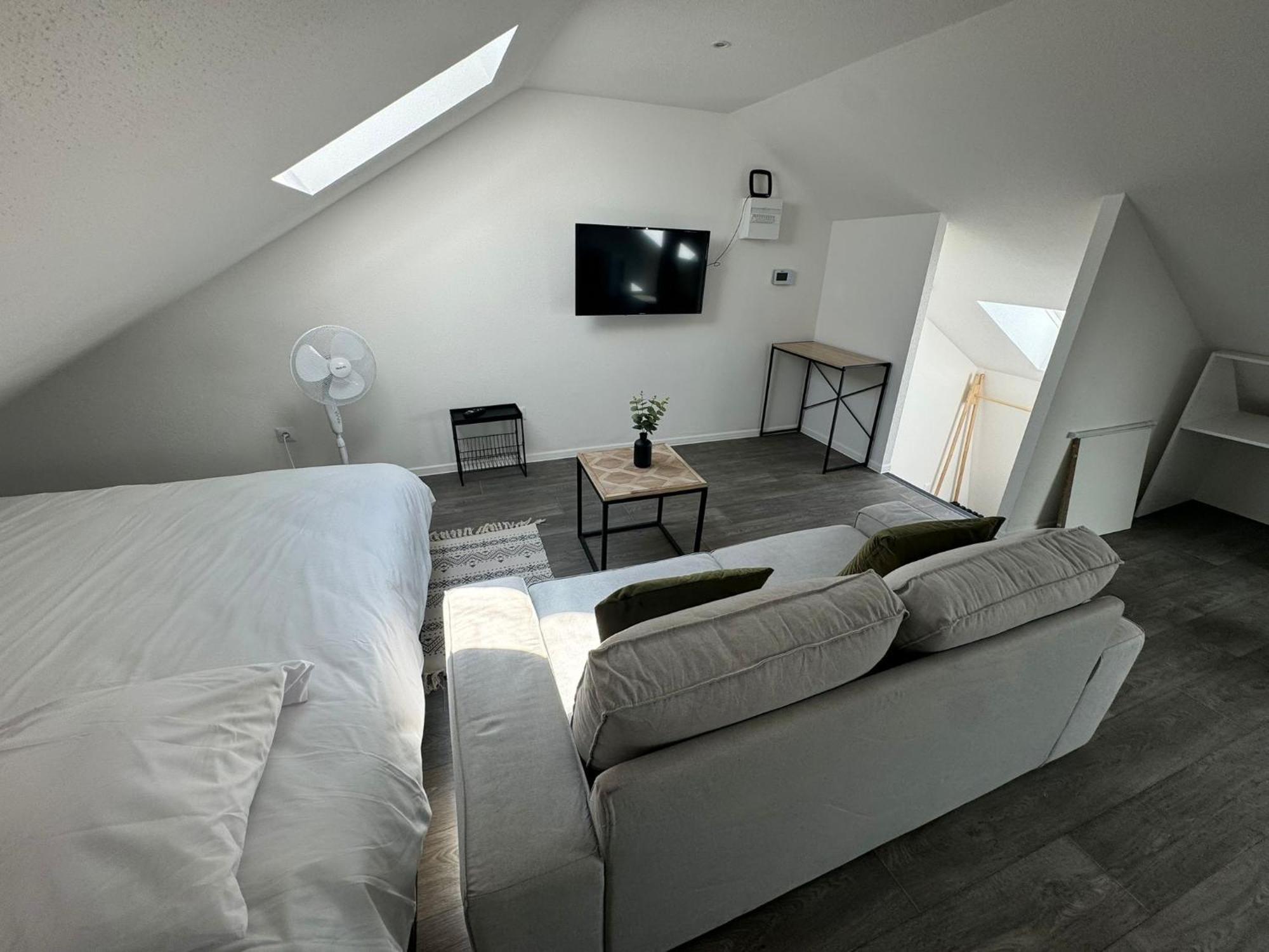 Studio Eucalyptus Charmant Elegant Et Fonctionnel Centre Ville Mulhouse Dış mekan fotoğraf