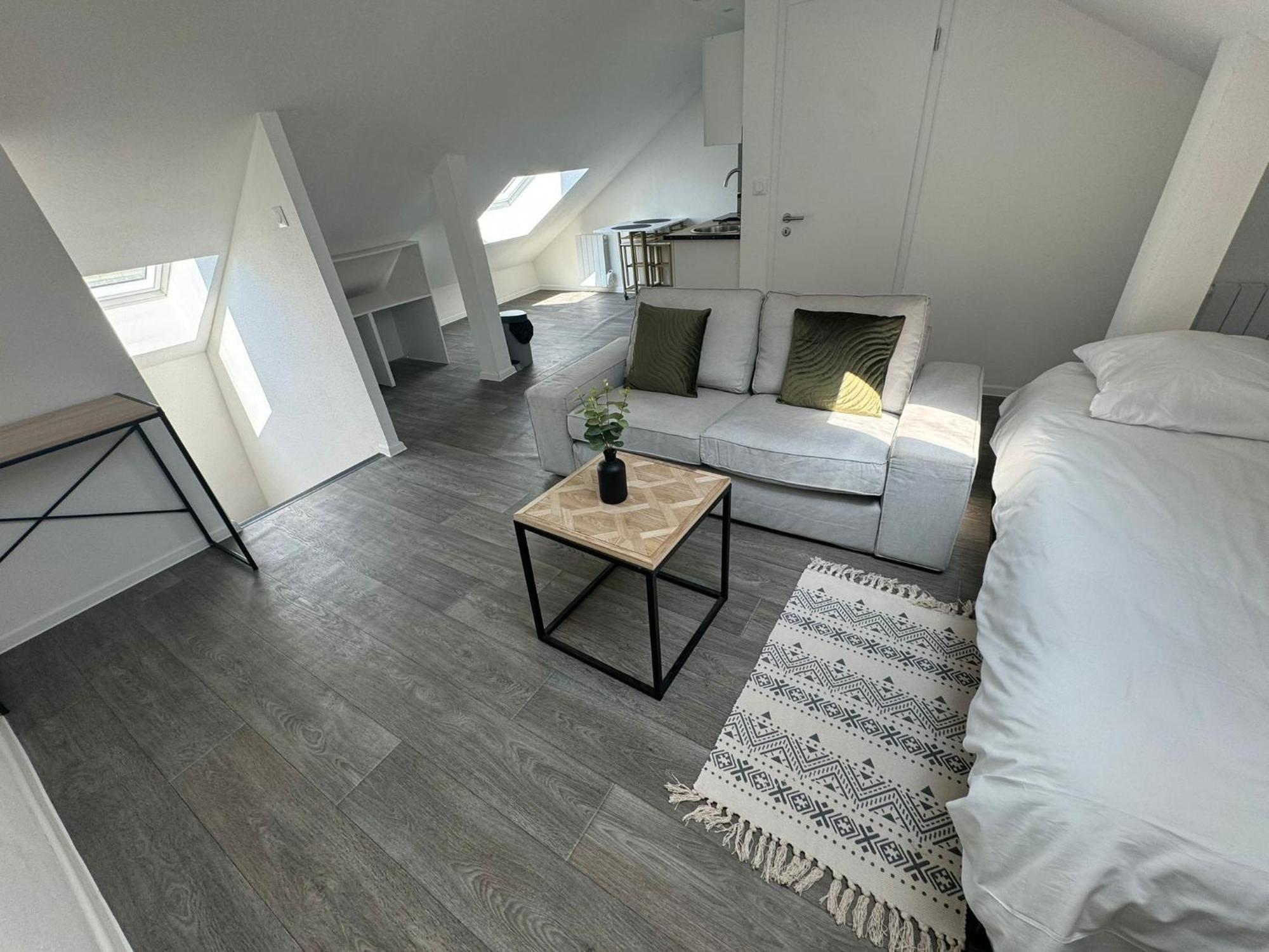 Studio Eucalyptus Charmant Elegant Et Fonctionnel Centre Ville Mulhouse Dış mekan fotoğraf